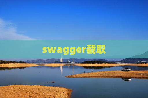 swagger截取